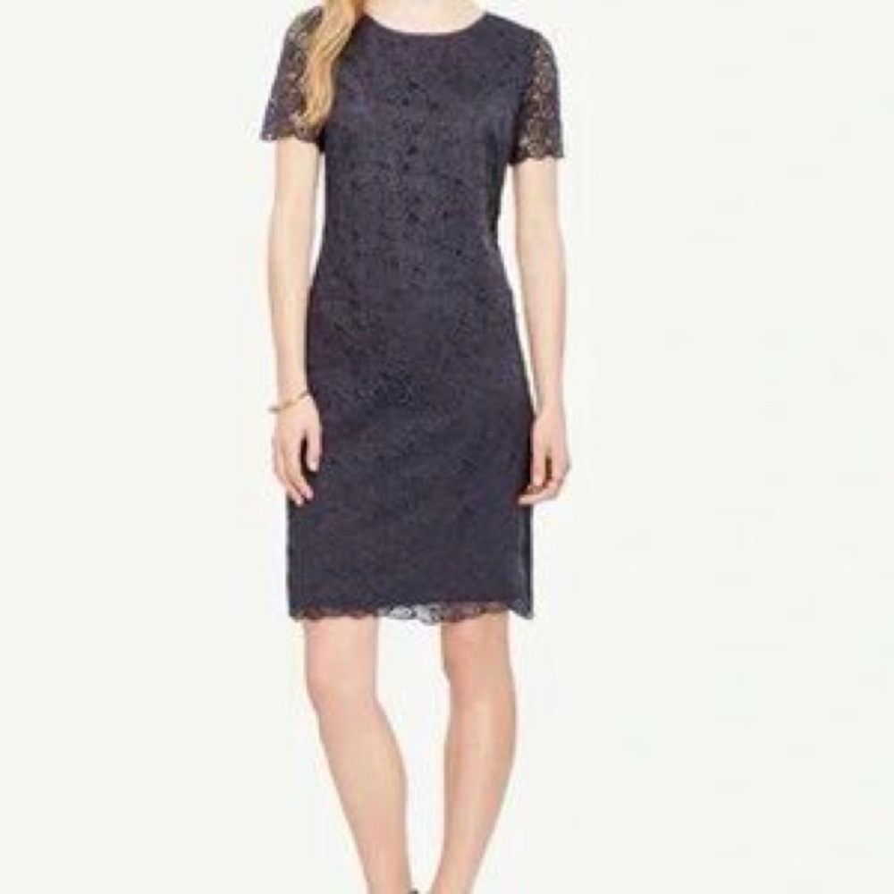 Ann Taylor Blue Sheath Midi Dress Short Sleeve Crew Neck
